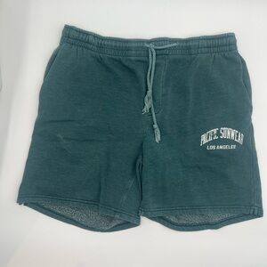 PacSun Green Textured Shorts